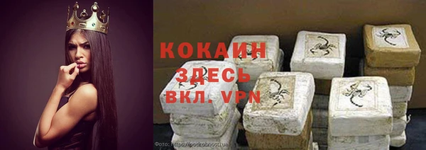 мет Лагань