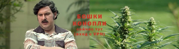 мет Лагань