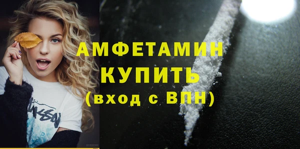 гидра Кулебаки