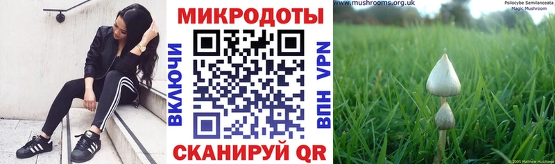 Галлюциногенные грибы GOLDEN TEACHER Одинцово