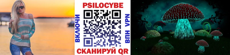 Купить  Одинцово  Псилоцибиновые грибы мицелий 